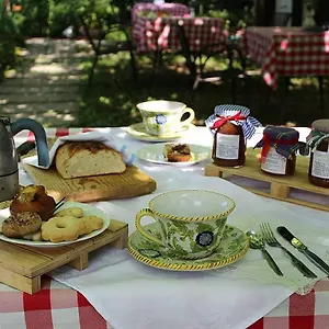  Farm stay Alle Torricelle Italy
