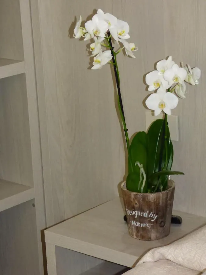 Design Hotel Astra B&B Misano Adriatico Italy