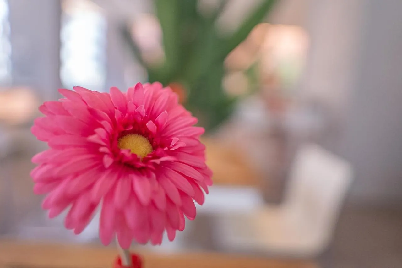 Design Hotel Astra B&B Misano Adriatico